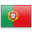 Portuguese (Portugal)